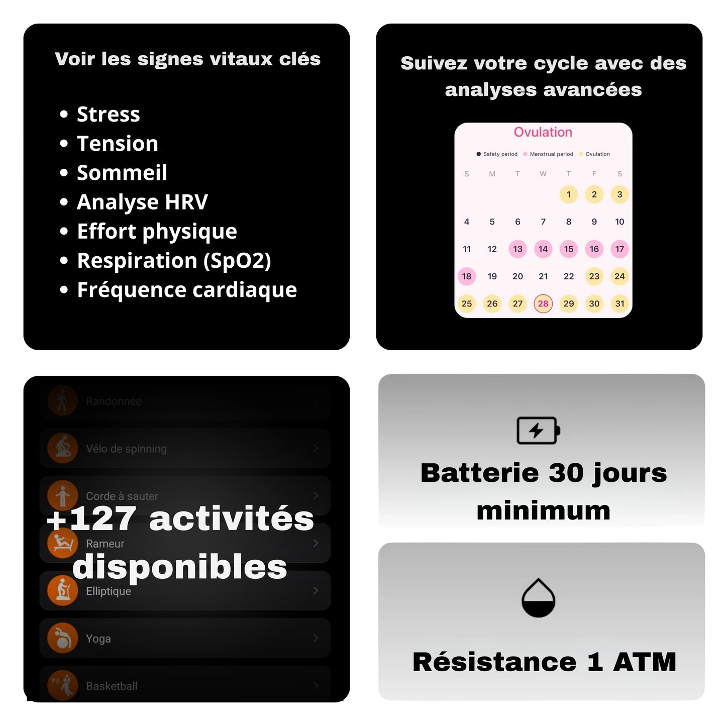 Fitmo 360