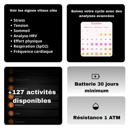 Fitmo 360